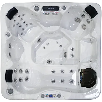Avalon EC-849L hot tubs for sale in Beaumont